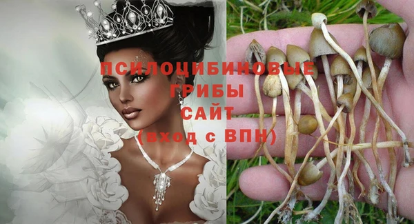 метадон Армянск