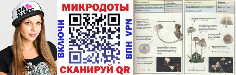 наркошоп  ссылка на мегу как зайти  Псилоцибиновые грибы мухоморы  Прохладный 