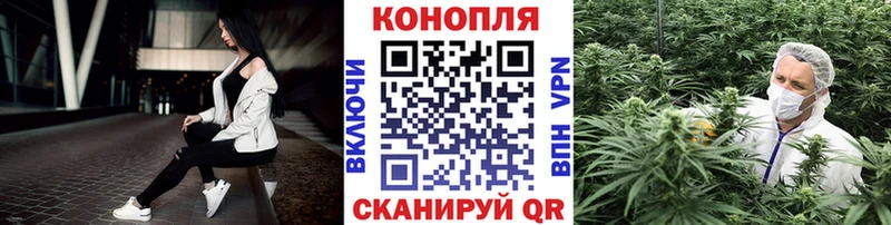 Бошки марихуана планчик  блэк спрут как зайти  Прохладный 